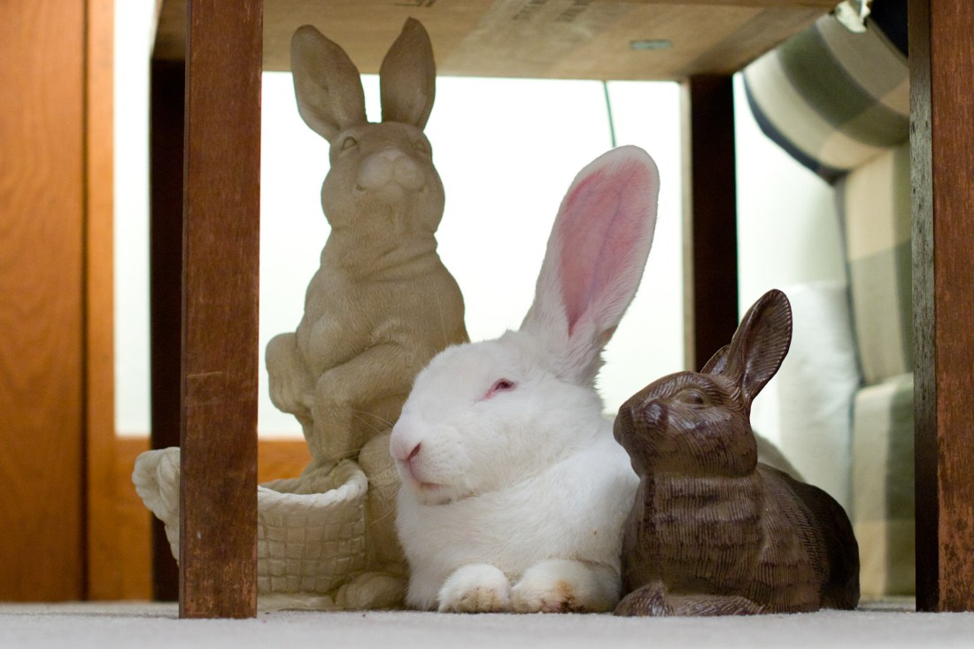 5920090000_5b0081930e_o